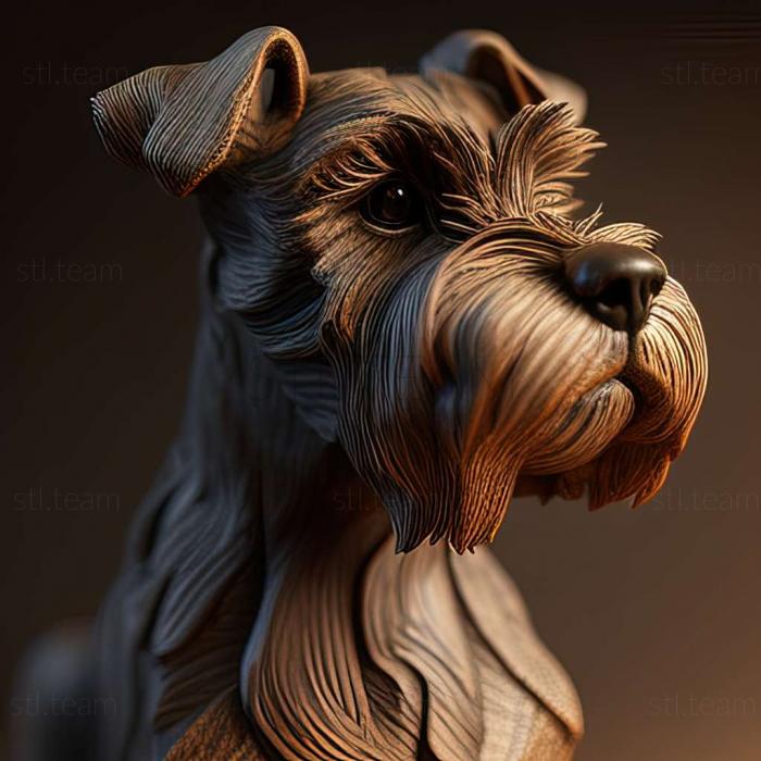 Zwergschnauzer dog